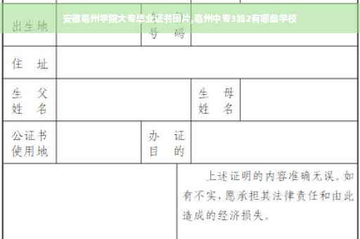 安徽亳州学院大专毕业证书图片,亳州中专3加2有哪些学校