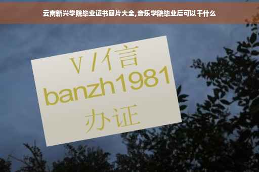 云南新兴学院毕业证书图片大全,音乐学院毕业后可以干什么