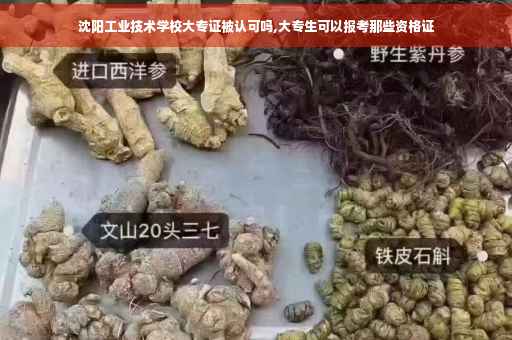 沈阳工业技术学校大专证被认可吗,大专生可以报考那些资格证