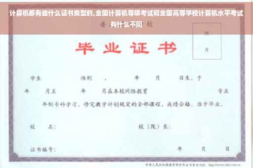 计算机都有些什么证书类型的,全国计算机等级考试和全国高等学校计算机水平考试有什么不同