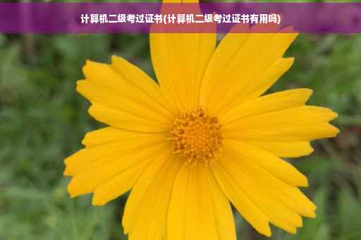 计算机二级考过证书(计算机二级考过证书有用吗)