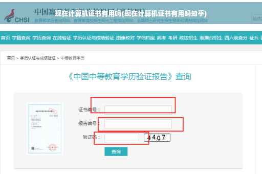 现在计算机证书有用吗(现在计算机证书有用吗知乎)