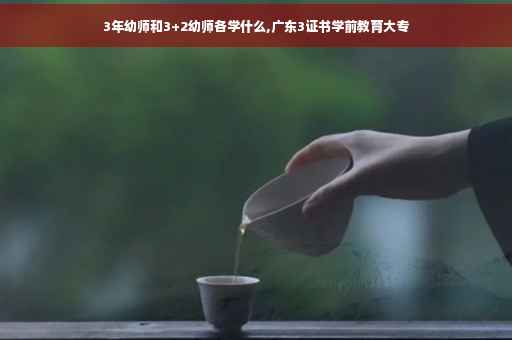 3年幼师和3+2幼师各学什么,广东3证书学前教育大专