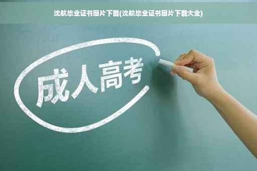 沈航毕业证书图片下载(沈航毕业证书图片下载大全)
