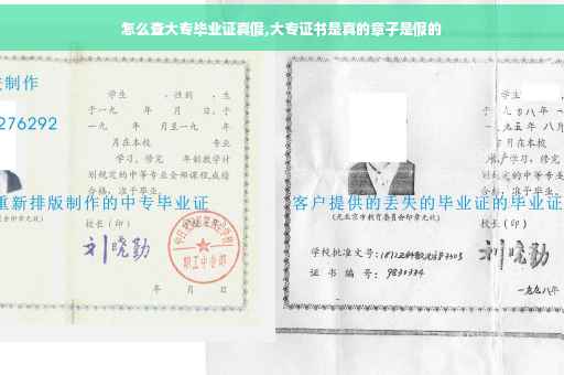 怎么查大专毕业证真假,大专证书是真的章子是假的