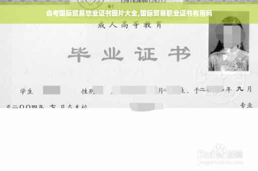 自考国际贸易毕业证书图片大全,国际贸易职业证书有用吗