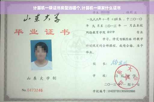 计算机一级证书类型选哪个,计算机一级发什么证书