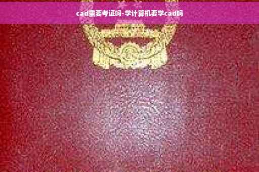 cad需要考证吗-学计算机要学cad吗