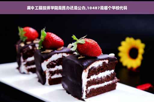 冀中工程技师学院是民办还是公办,10487是哪个学校代码