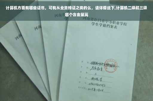 计算机方面有哪些证书，可有从业资格证之类的么，请详细说下,计算机二级和三级哪个含金量高