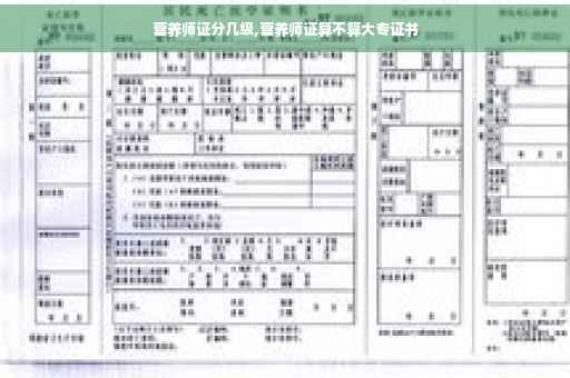 营养师证分几级,营养师证算不算大专证书