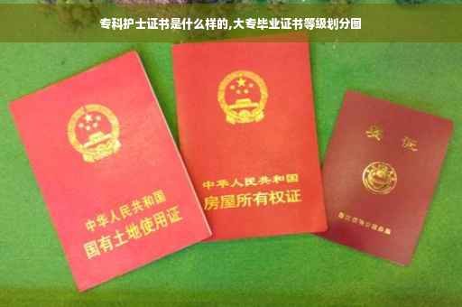 专科护士证书是什么样的,大专毕业证书等级划分图