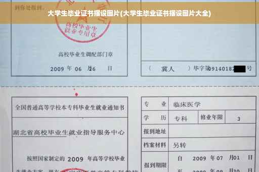 大学生毕业证书摆设图片(大学生毕业证书摆设图片大全)