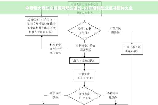 中专和大专毕业证证书怎么区分-07年专科毕业证书图片大全