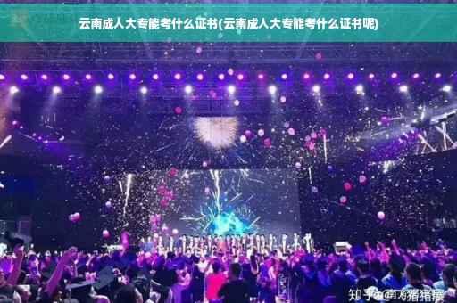云南成人大专能考什么证书(云南成人大专能考什么证书呢)