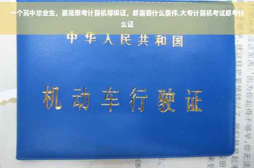 一个高中毕业生，要是想考计算机等级证，都需要什么条件,大专计算机考试都考什么证
