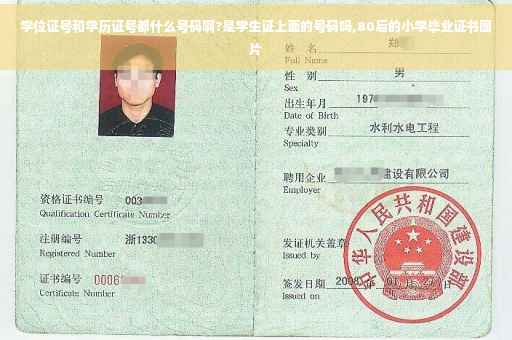 学位证号和学历证号都什么号码啊?是学生证上面的号码吗,80后的小学毕业证书图片