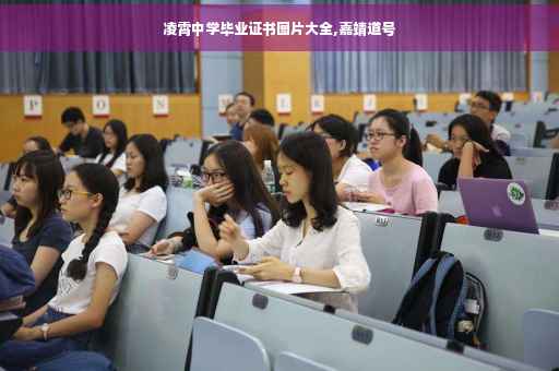 凌霄中学毕业证书图片大全,嘉靖道号