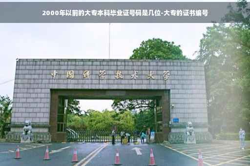 2000年以前的大专本科毕业证号码是几位-大专的证书编号