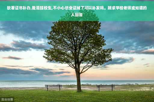 软著证书补办,我是技校生,不小心毕业证掉了可以补发吗。跪求学校老师或知道的人回答