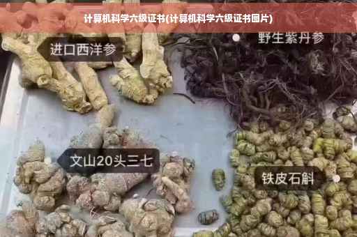 计算机科学六级证书(计算机科学六级证书图片)