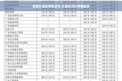 全国计算机考级证书,计算机可以考哪些证