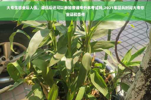 大专生毕业后入伍，退伍后还可以参加普通专升本考试吗,2021年征兵时间大专毕业证和条件