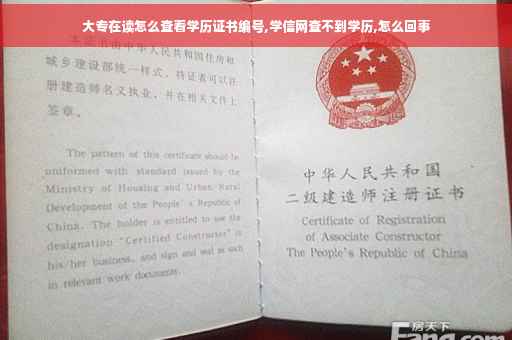 大专在读怎么查看学历证书编号,学信网查不到学历,怎么回事