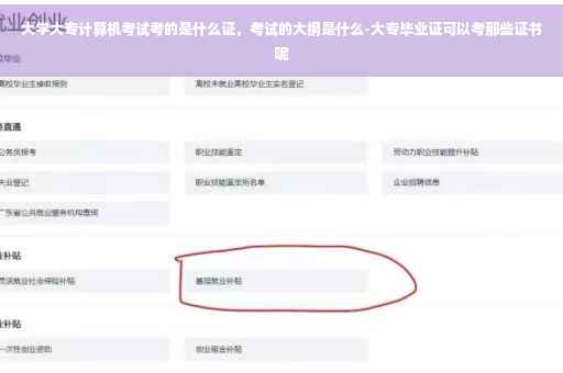 大学大专计算机考试考的是什么证，考试的大纲是什么-大专毕业证可以考那些证书呢