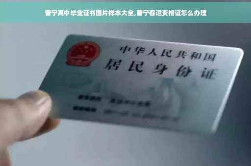 普宁高中毕业证书图片样本大全,普宁客运资格证怎么办理