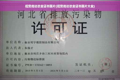 视觉传达毕业证书图片(视觉传达毕业证书图片大全)