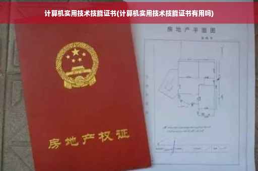 计算机实用技术技能证书(计算机实用技术技能证书有用吗)