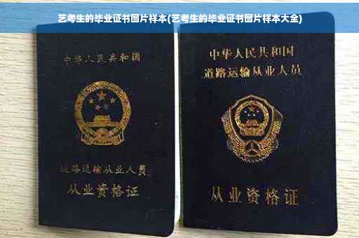 艺考生的毕业证书图片样本(艺考生的毕业证书图片样本大全)