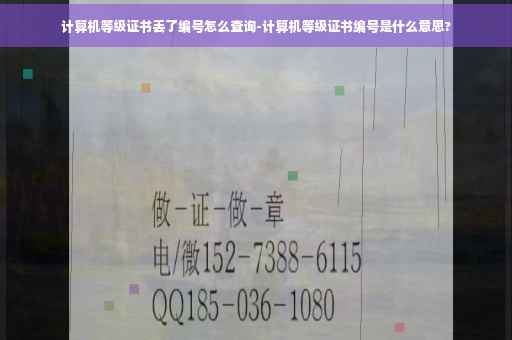 计算机等级证书丢了编号怎么查询-计算机等级证书编号是什么意思?