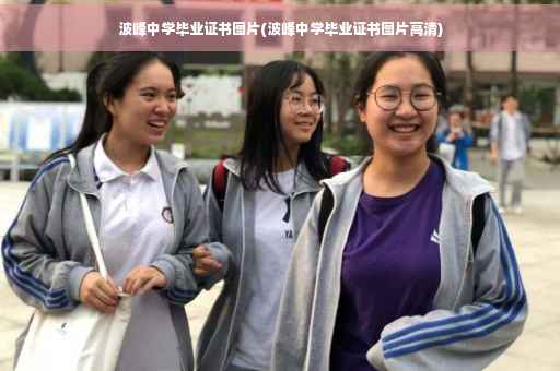 波峰中学毕业证书图片(波峰中学毕业证书图片高清)