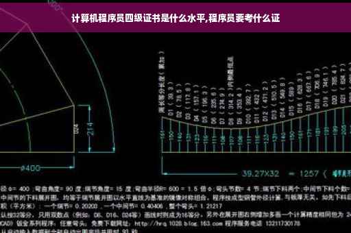 计算机程序员四级证书是什么水平,程序员要考什么证