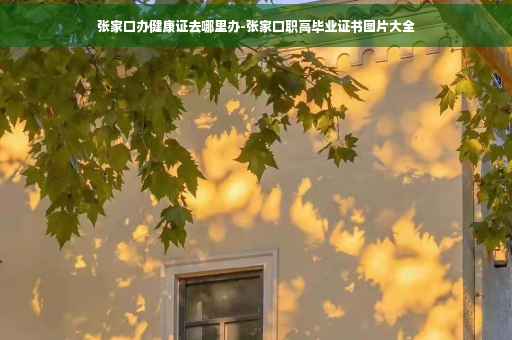 张家口办健康证去哪里办-张家口职高毕业证书图片大全