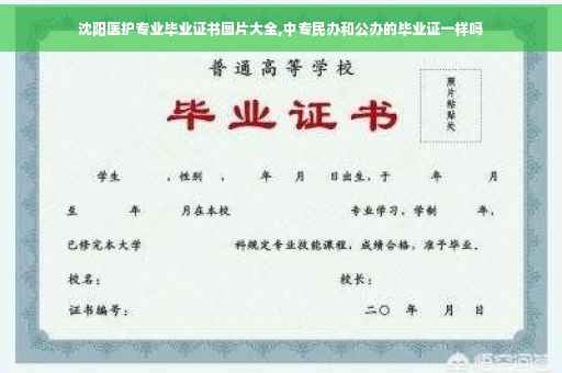 沈阳医护专业毕业证书图片大全,中专民办和公办的毕业证一样吗