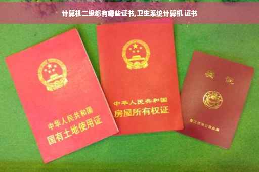 计算机二级都有哪些证书,卫生系统计算机 证书