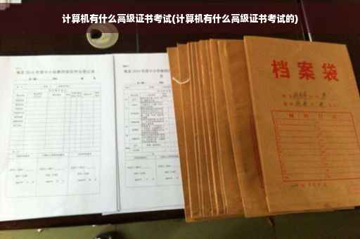 计算机有什么高级证书考试(计算机有什么高级证书考试的)