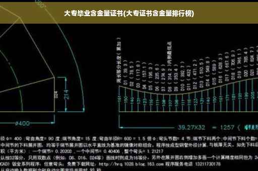 大专毕业含金量证书(大专证书含金量排行榜)
