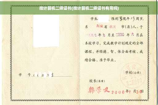 挂计算机二级证书(挂计算机二级证书有用吗)