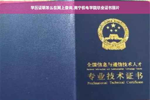 学历证明怎么在网上查询,南宁机电学院毕业证书图片