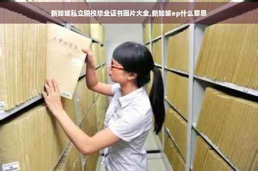 新加坡私立院校毕业证书图片大全,新加坡ep什么意思