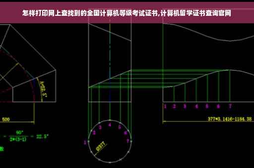 怎样打印网上查找到的全国计算机等级考试证书,计算机留学证书查询官网
