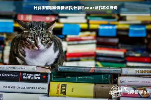 计算机有哪些资格证书,计算机ceac证书怎么查询