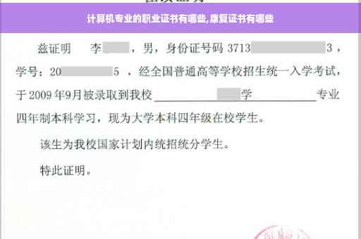 计算机专业的职业证书有哪些,康复证书有哪些