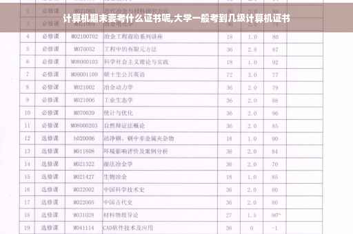 计算机期末要考什么证书呢,大学一般考到几级计算机证书