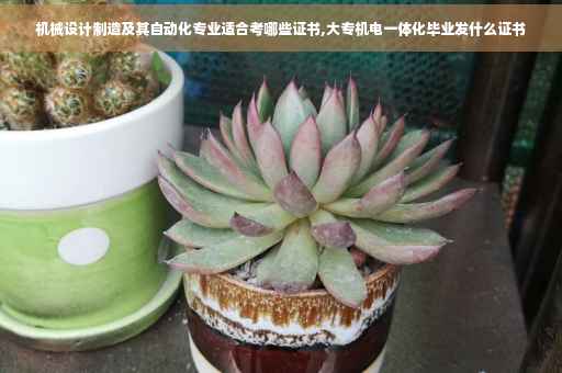 机械设计制造及其自动化专业适合考哪些证书,大专机电一体化毕业发什么证书