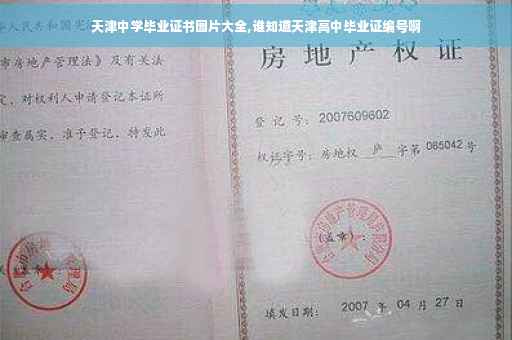 天津中学毕业证书图片大全,谁知道天津高中毕业证编号啊